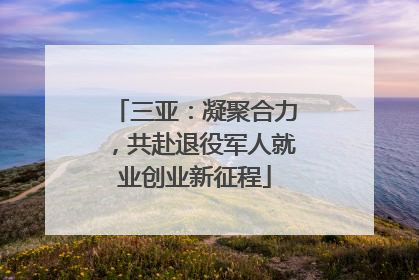 三亚：凝聚合力，共赴退役军人就业创业新征程