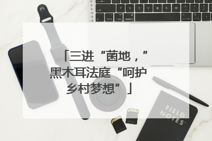 三进“菌地，”黑木耳法庭“呵护乡村梦想”
