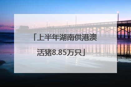 上半年湖南供港澳活猪8.85万只
