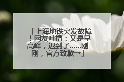 上海地铁突发故障！网友吐槽：又是早高峰，迟到了……刚刚，官方致歉→