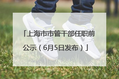 上海市市管干部任职前公示（6月5日发布）