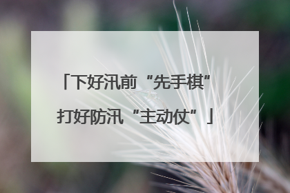 下好汛前“先手棋” 打好防汛“主动仗”