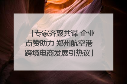 专家齐聚共谋 企业点赞助力 郑州航空港跨境电商发展引热议