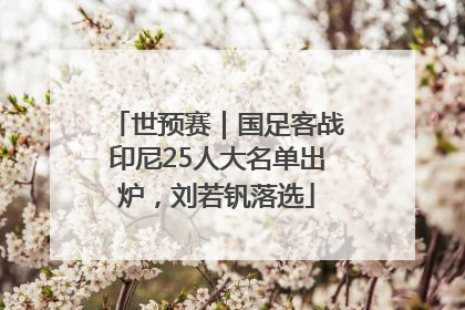 世预赛｜国足客战印尼25人大名单出炉，刘若钒落选