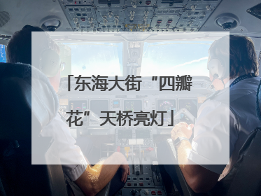 东海大街“四瓣花”天桥亮灯