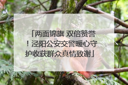 两面锦旗 双倍赞誉！泾阳公安交警暖心守护收获群众真情致谢