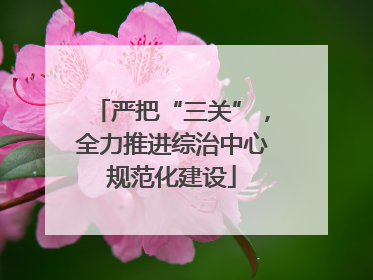 严把“三关”，全力推进综治中心规范化建设