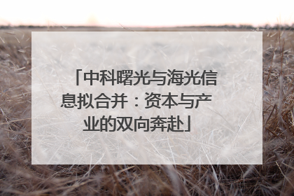 中科曙光与海光信息拟合并：资本与产业的双向奔赴