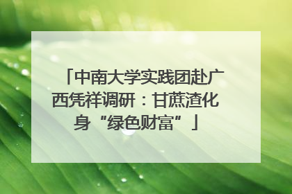 中南大学实践团赴广西凭祥调研：甘蔗渣化身“绿色财富”