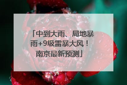 中到大雨、局地暴雨+9级雷暴大风！南京最新预测
