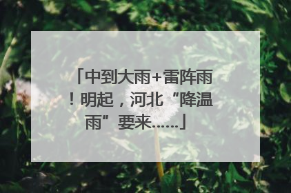 中到大雨+雷阵雨！明起，河北“降温雨”要来……