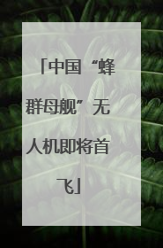 中国“蜂群母舰”无人机即将首飞