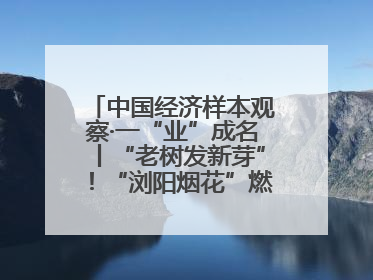 中国经济样本观察·一“业”成名丨“老树发新芽”！“浏阳烟花”燃亮世界