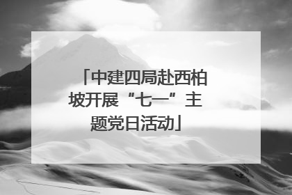 中建四局赴西柏坡开展“七一”主题党日活动