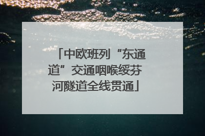 中欧班列“东通道”交通咽喉绥芬河隧道全线贯通