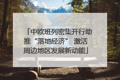 中欧班列密集开行助推“落地经济” 激活周边地区发展新动能