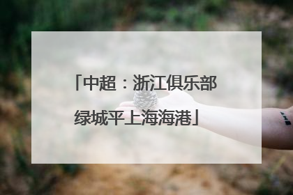 中超：浙江俱乐部绿城平上海海港