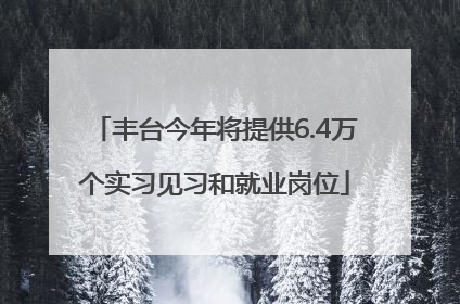 丰台今年将提供6.4万个实习见习和就业岗位