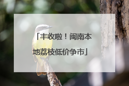 丰收啦！闽南本地荔枝低价争市