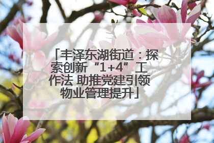 丰泽东湖街道：探索创新“1+4”工作法 助推党建引领物业管理提升