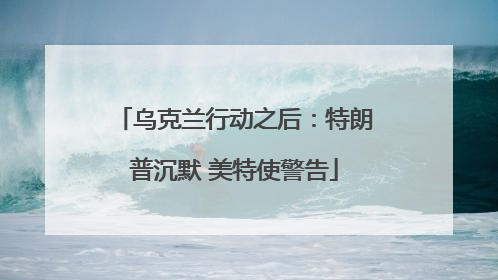 乌克兰行动之后：特朗普沉默 美特使警告
