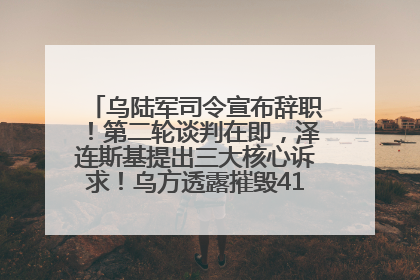 乌陆军司令宣布辞职！第二轮谈判在即，泽连斯基提出三大核心诉求！乌方透露摧毁41架俄战略轰炸机