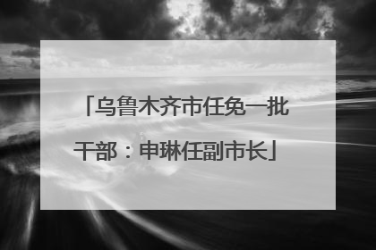 乌鲁木齐市任免一批干部：申琳任副市长