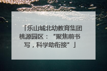 乐山城北幼教育集团桃源园区：“聚焦前书写，科学助衔接”