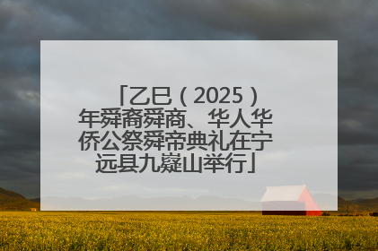 乙巳（2025）年舜裔舜商、华人华侨公祭舜帝典礼在宁远县九嶷山举行