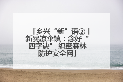 乡兴“新”语②丨新晃凉伞镇：念好“四字诀” 织密森林防护安全网