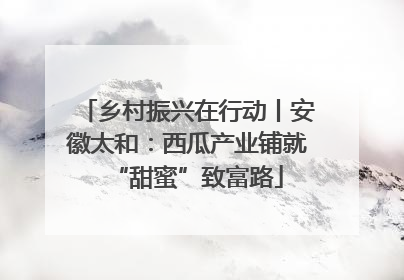 乡村振兴在行动丨安徽太和：西瓜产业铺就“甜蜜”致富路