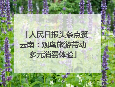 人民日报头条点赞云南：观鸟旅游带动多元消费体验