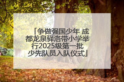 争做强国少年 成都龙泉驿洛带小学举行2025级第一批少先队员入队仪式