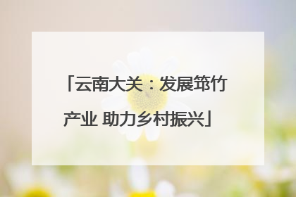 云南大关：发展筇竹产业 助力乡村振兴