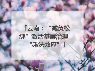 云南：“减负松绑”激活基层治理“乘法效应”