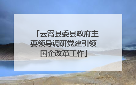 云霄县委县政府主要领导调研党建引领国企改革工作