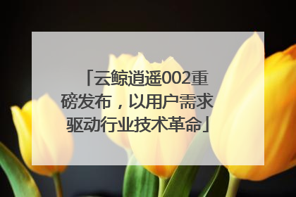 云鲸逍遥002重磅发布，以用户需求驱动行业技术革命