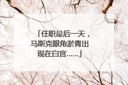 任职最后一天，马斯克眼角淤青出现在白宫……