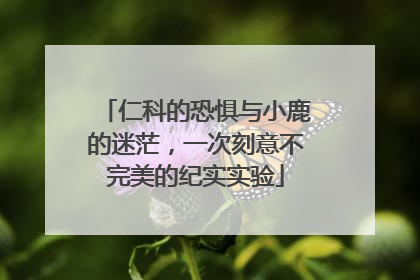 仁科的恐惧与小鹿的迷茫，一次刻意不完美的纪实实验