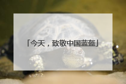 今天，致敬中国蓝盔