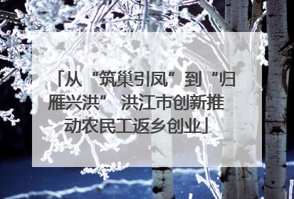 从“筑巢引凤”到“归雁兴洪” 洪江市创新推动农民工返乡创业