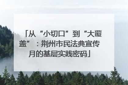 从“小切口”到“大覆盖”：荆州市民法典宣传月的基层实践密码