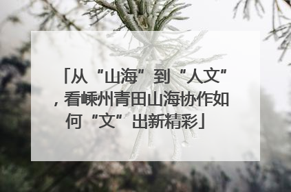 从“山海”到“人文”，看嵊州青田山海协作如何“文”出新精彩