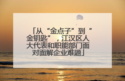 从“金点子”到“金钥匙”，江汉区人大代表和职能部门面对面解企业难题