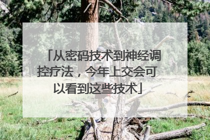 从密码技术到神经调控疗法，今年上交会可以看到这些技术