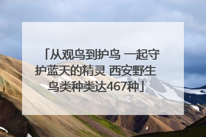 从观鸟到护鸟 一起守护蓝天的精灵 西安野生鸟类种类达467种