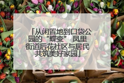 从闲置地到口袋公园的“蝶变” 凤里街道后花社区与居民共筑美好家园