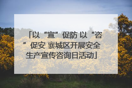 以“宣”促防 以“咨”促安 襄城区开展安全生产宣传咨询日活动