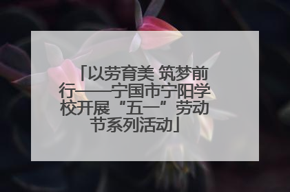 以劳育美 筑梦前行——宁国市宁阳学校开展“五一”劳动节系列活动