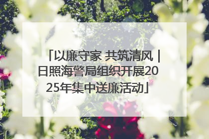 以廉守家 共筑清风｜日照海警局组织开展2025年集中送廉活动